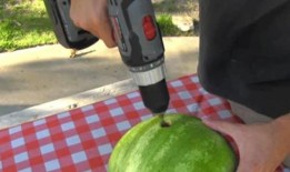 吃瓜电钻网红,揭秘网络红人的崛起之路