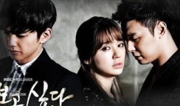 想你韩剧在线观看韩版,重温经典爱情故事，感受韩版魅力