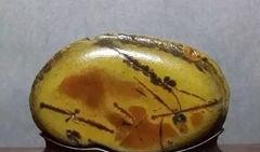 奇石制作爆料方法图片视频,图片与视频全方位解析